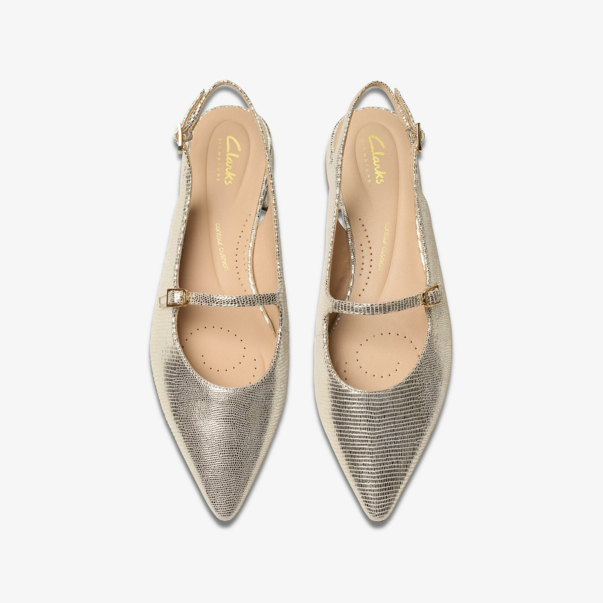 Sensa 15 Shine Champagne Interest
