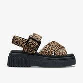 Evamar Wish Leopard Print