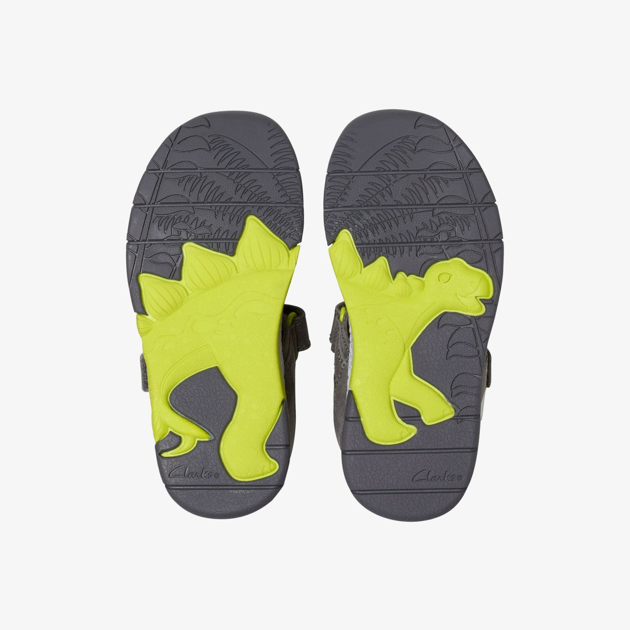 Spiney Tail Kid Grey