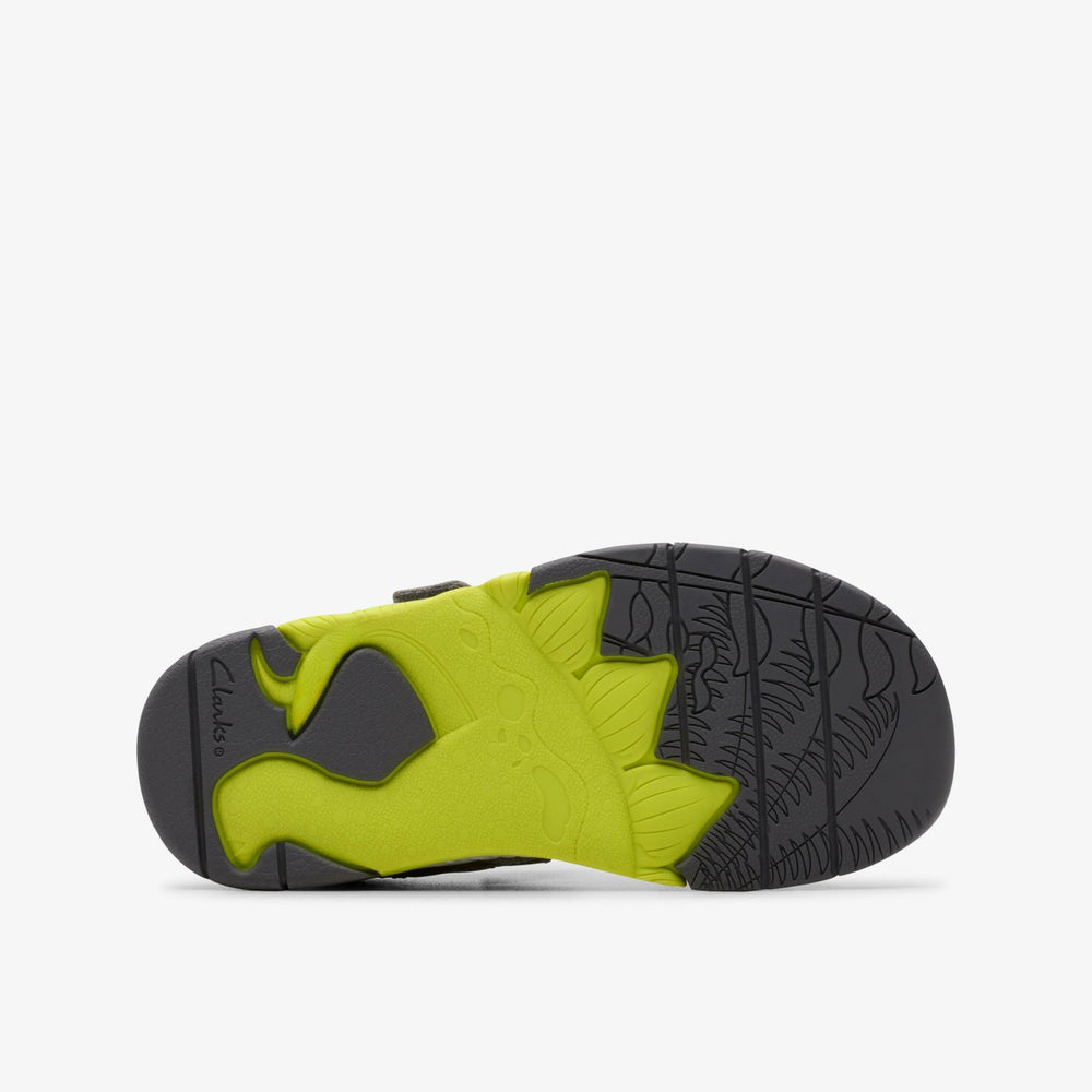 Spiney Tail Kid Grey