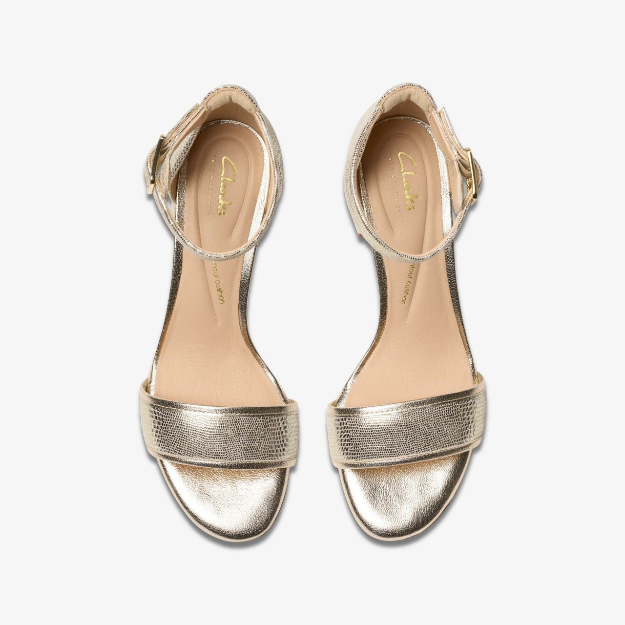 Ezoria Mae Champagne Interest