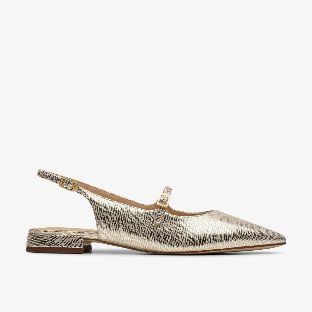 Sensa 15 Shine Champagne Interest