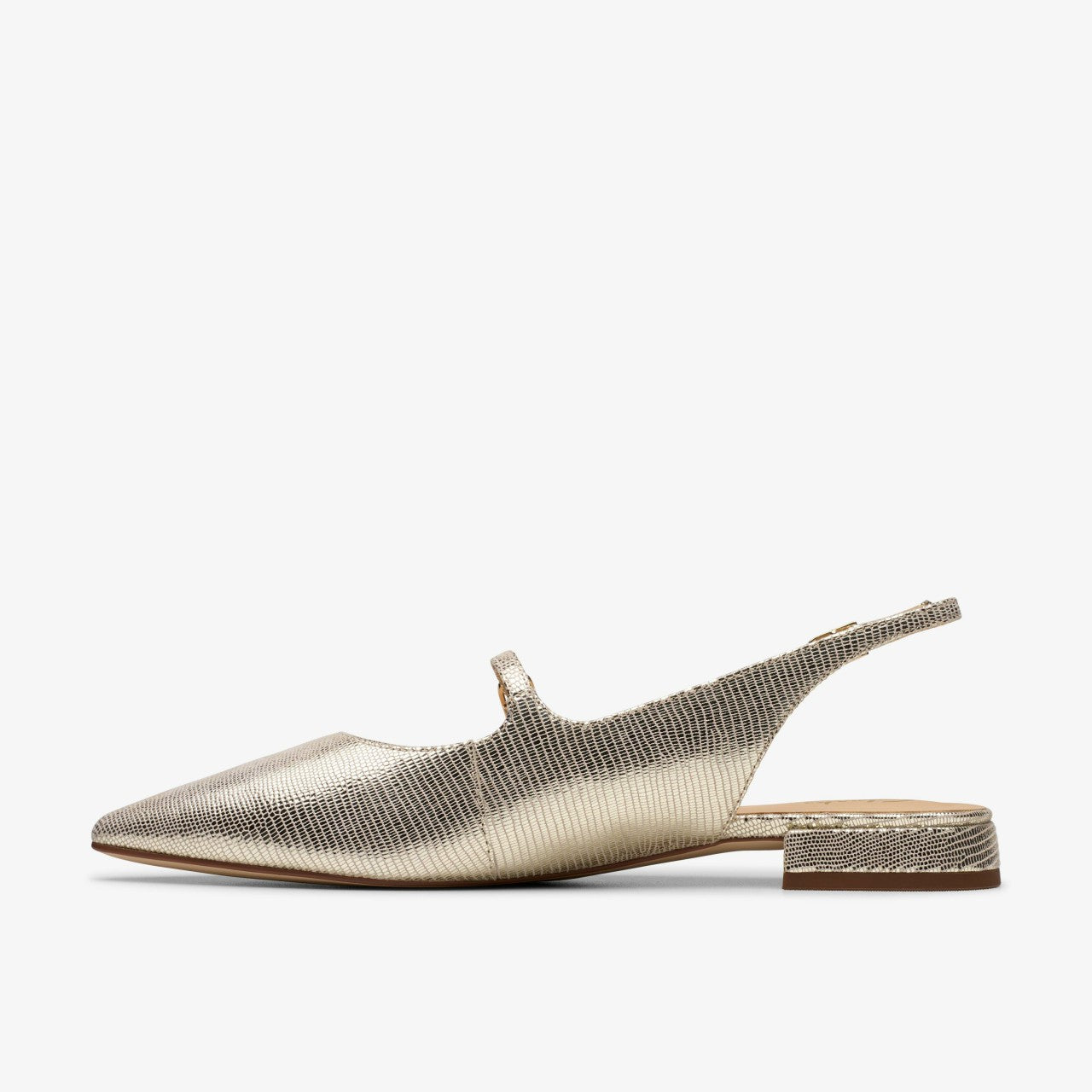 Sensa 15 Shine Champagne Interest