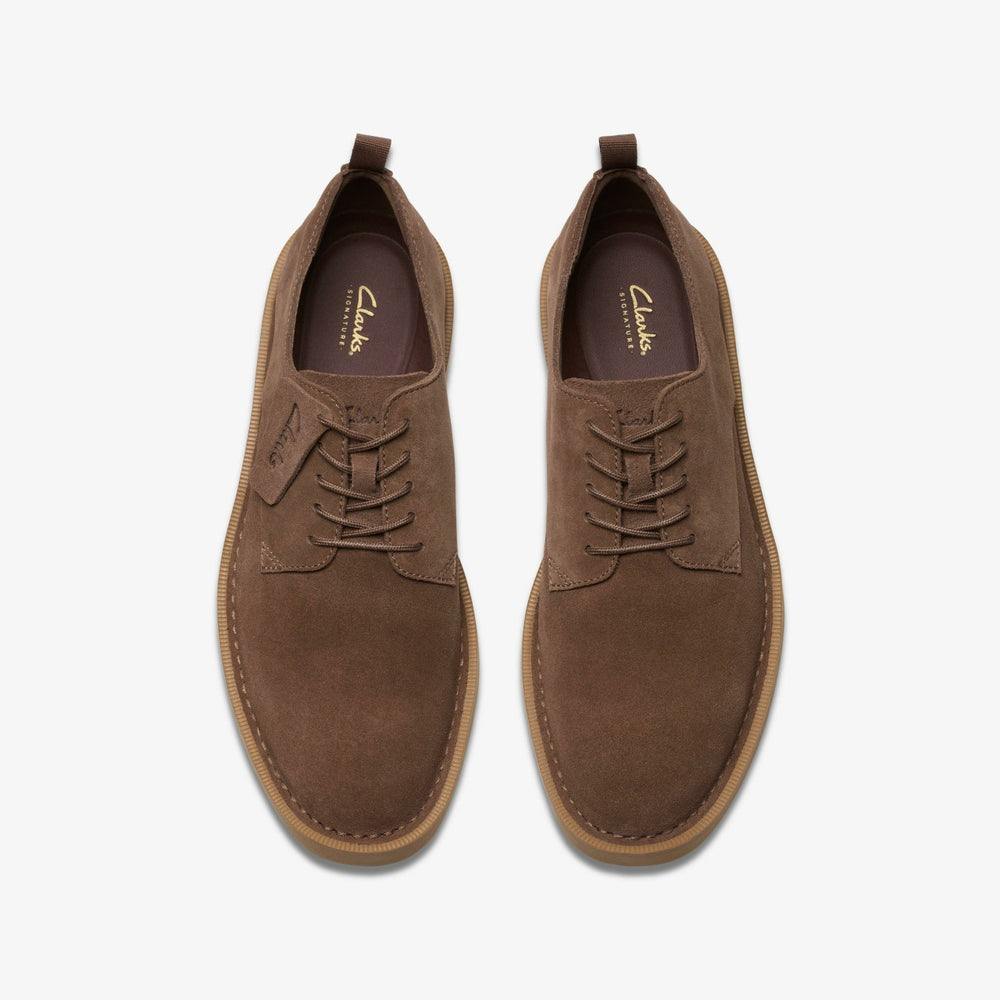 Martock Lace Brown Suede