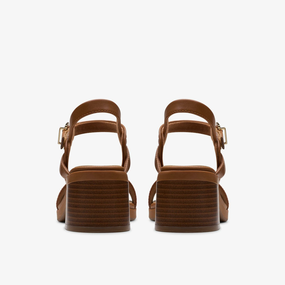 Jaylan Ray Tan Interest