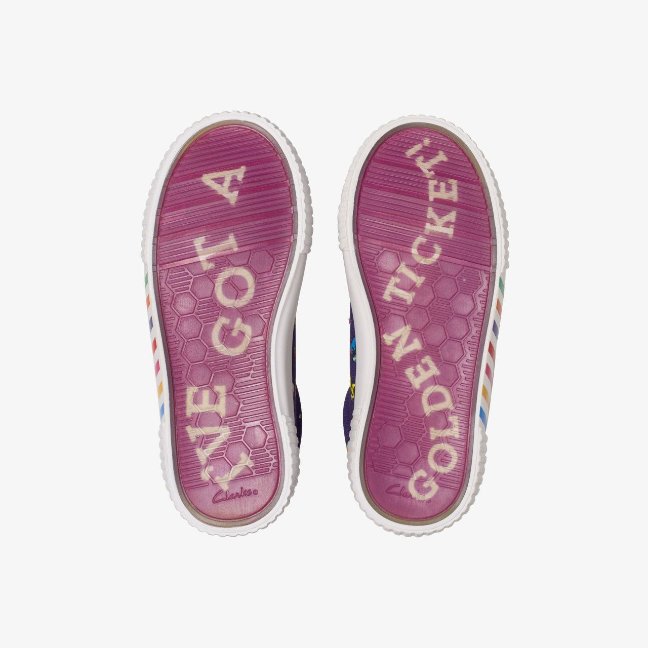 Roald Dahl Charlie & the Chocolate Factory Foxing Mix Kid Purple Canvas