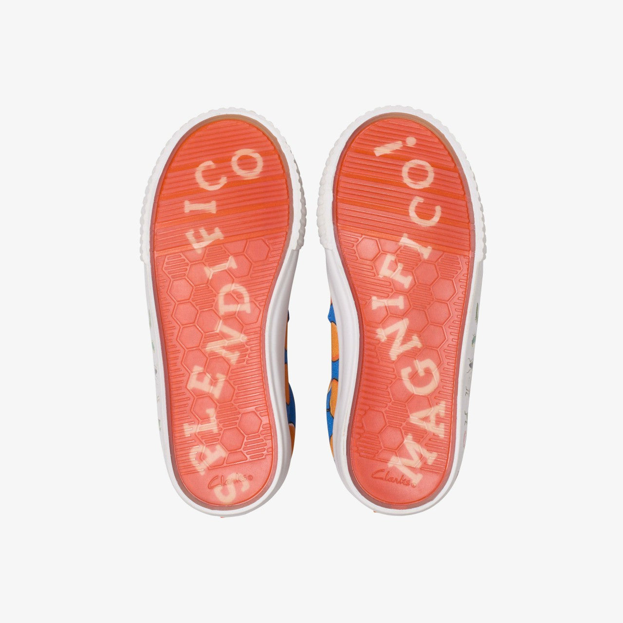 Roald Dahl James & the Giant Peach Foxing Air Kid Blue Canvas