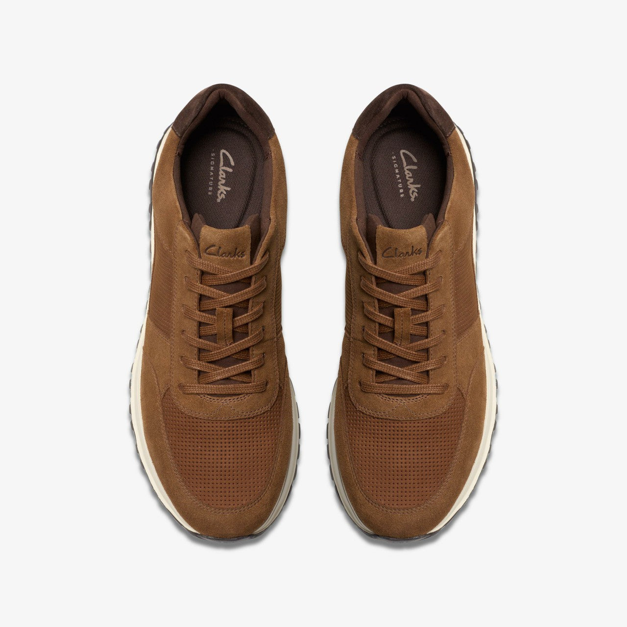 Radwell Lace Cola Combination