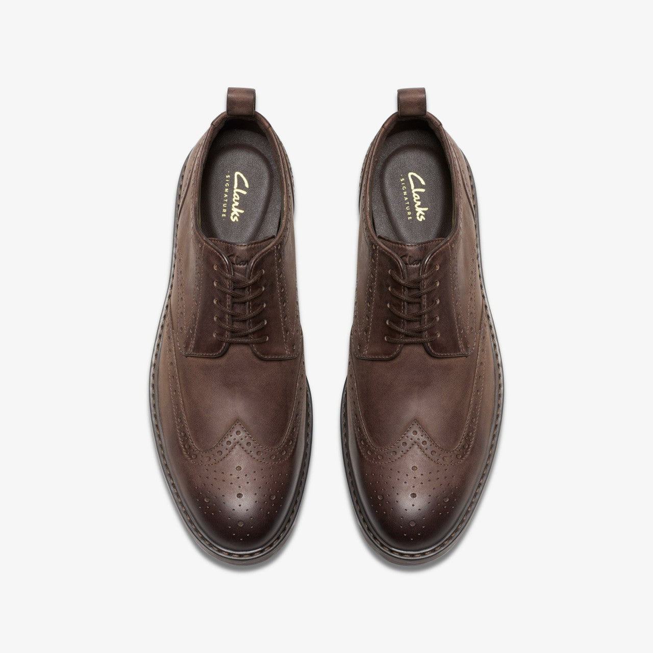 Aldwin Limit Brogue Brown Leather