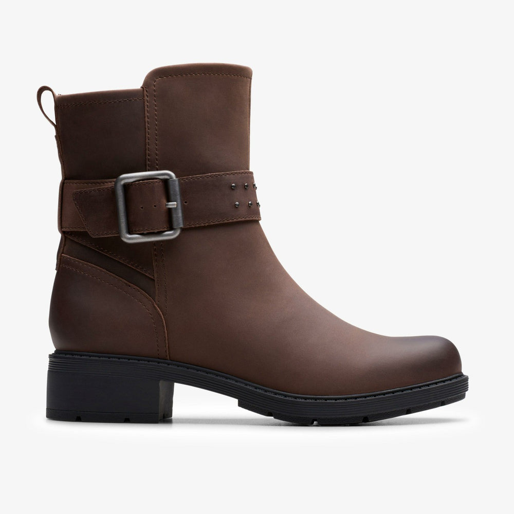 Hearth Buckle Dark Brown