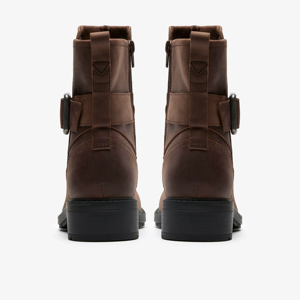 Hearth Buckle Dark Brown