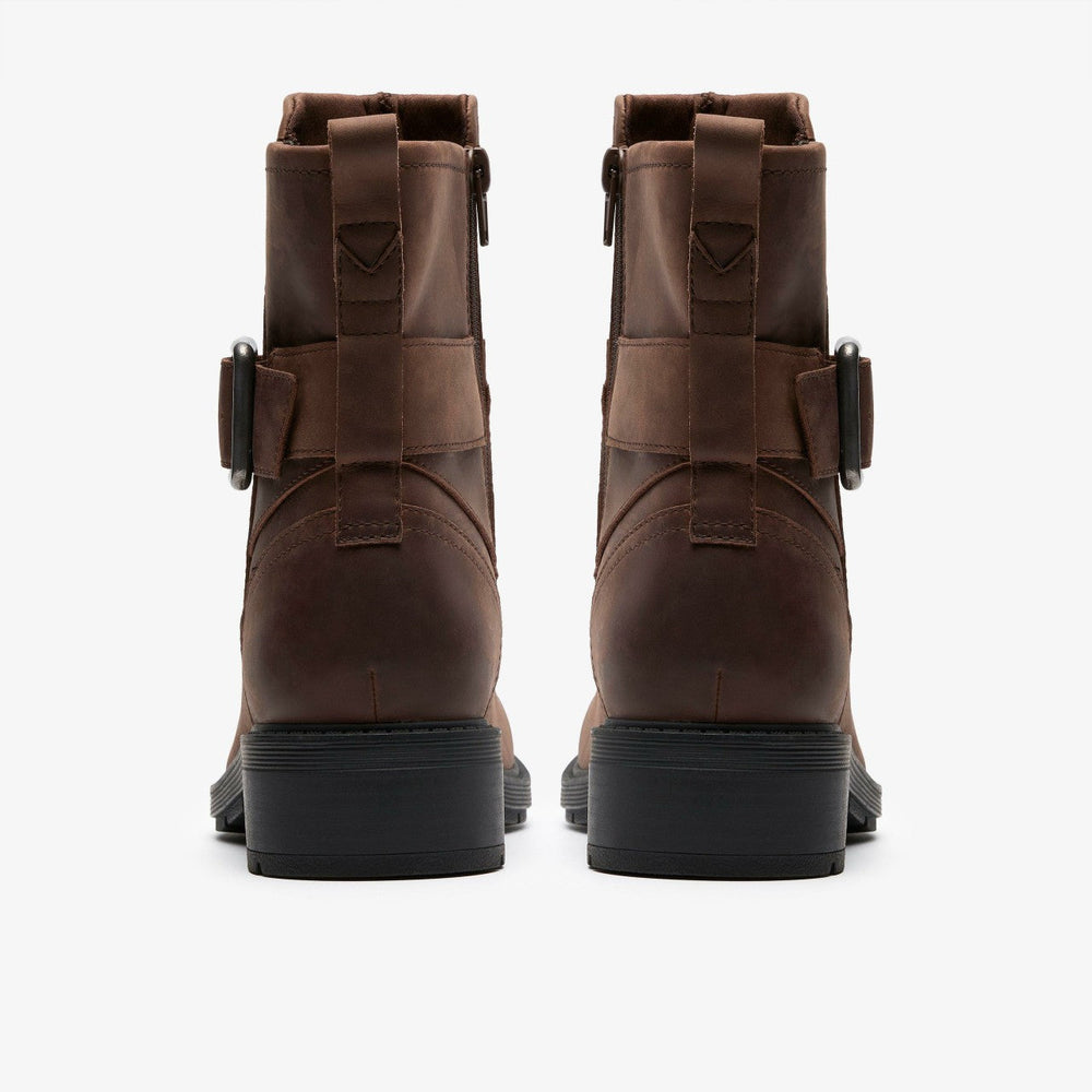 Hearth Buckle Dark Brown