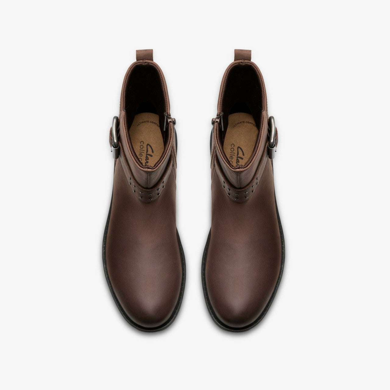 Hearth Buckle Dark Brown