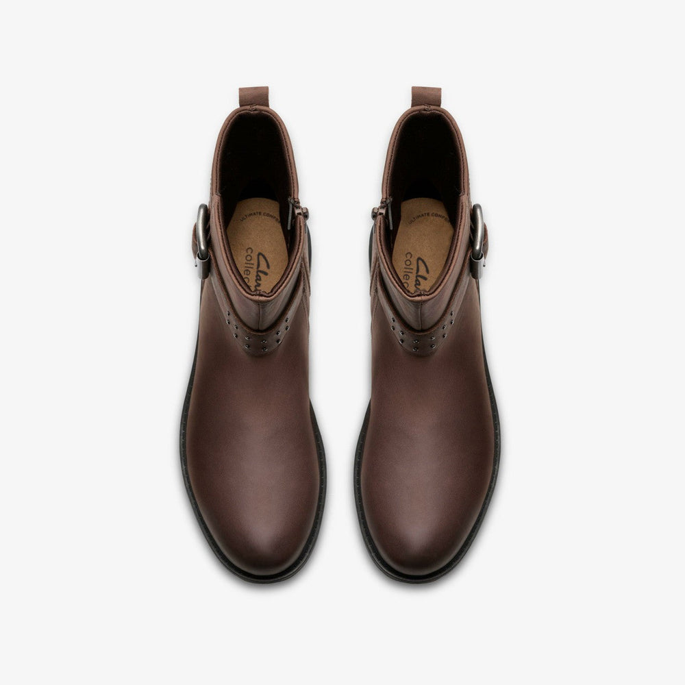 Hearth Buckle Dark Brown